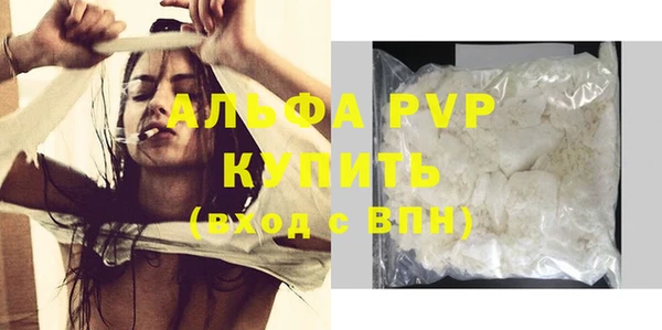 хмурый Аркадак