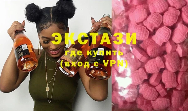 хмурый Аркадак
