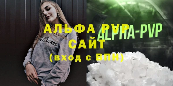 хмурый Аркадак