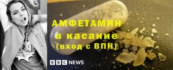 хмурый Аркадак